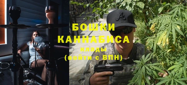 шишки Алексеевка