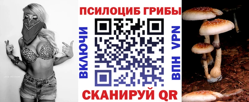 Галлюциногенные грибы GOLDEN TEACHER купить наркоту Бийск